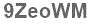 The text to enter in the texbox below is: 9ZeoWM