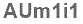 The text to enter in the texbox below is: AUm1i1