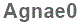 The text to enter in the texbox below is: Agnae0