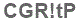 The text to enter in the texbox below is: CGR!tP