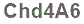 The text to enter in the texbox below is: Chd4A6