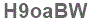 The text to enter in the texbox below is: H9oaBW