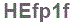 The text to enter in the texbox below is: HEfp1f