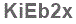 The text to enter in the texbox below is: KiEb2x