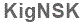 The text to enter in the texbox below is: KigNSK