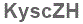 The text to enter in the texbox below is: KyscZH