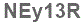 The text to enter in the texbox below is: NEy13R