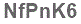 The text to enter in the texbox below is: NfPnK6