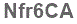The text to enter in the texbox below is: Nfr6CA