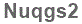 The text to enter in the texbox below is: Nuqgs2