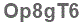 The text to enter in the texbox below is: Op8gT6