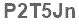 The text to enter in the texbox below is: P2T5Jn