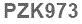 The text to enter in the texbox below is: PZK973