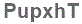 The text to enter in the texbox below is: PupxhT