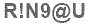 The text to enter in the texbox below is: R!N9@U