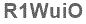 The text to enter in the texbox below is: R1WuiO
