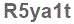 The text to enter in the texbox below is: R5ya1t