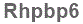 The text to enter in the texbox below is: Rhpbp6