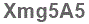 The text to enter in the texbox below is: Xmg5A5
