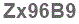 The text to enter in the texbox below is: Zx96B9