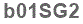 The text to enter in the texbox below is: b01SG2