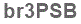The text to enter in the texbox below is: br3PSB