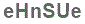 The text to enter in the texbox below is: eHnSUe