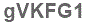 The text to enter in the texbox below is: gVKFG1
