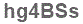 The text to enter in the texbox below is: hg4BSs