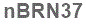 The text to enter in the texbox below is: nBRN37
