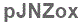 The text to enter in the texbox below is: pJNZox