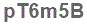 The text to enter in the texbox below is: pT6m5B