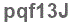 The text to enter in the texbox below is: pqf13J