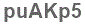 The text to enter in the texbox below is: puAKp5