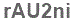 The text to enter in the texbox below is: rAU2ni
