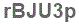 The text to enter in the texbox below is: rBJU3p