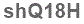 The text to enter in the texbox below is: shQ18H