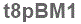 The text to enter in the texbox below is: t8pBM1