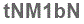 The text to enter in the texbox below is: tNM1bN