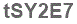 The text to enter in the texbox below is: tSY2E7