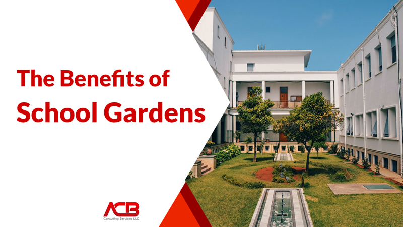 The Benefits of School Gardens